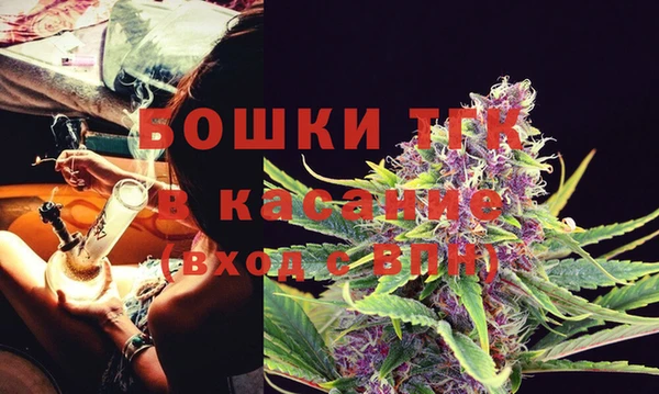 трава Аркадак