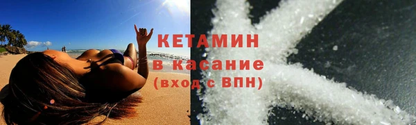трава Аркадак