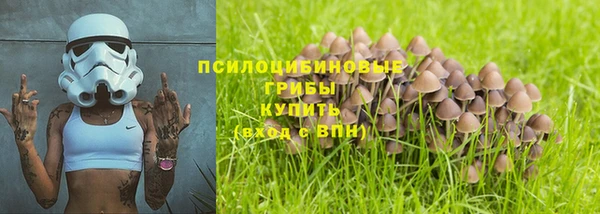 прущая мука Армянск