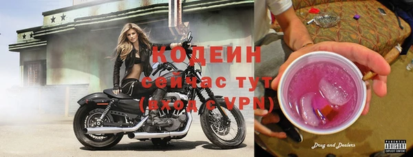 трава Аркадак