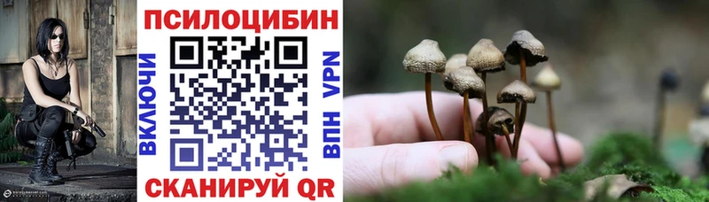 даркнет клад  цена наркотик  kraken маркетплейс  Ртищево  Галлюциногенные грибы GOLDEN TEACHER 